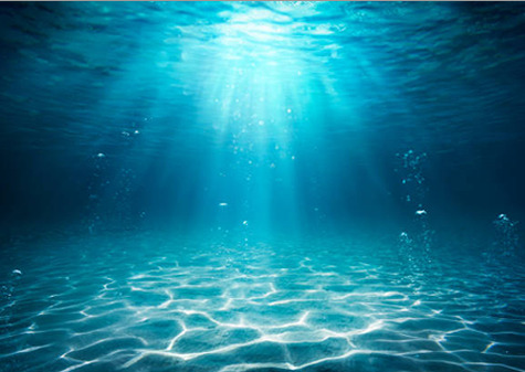 Porto Admin